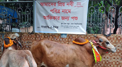 ঈদে মিলাদুন্নবীতে আকিকা দেবে ঢাবি শিক্ষার্থীরা